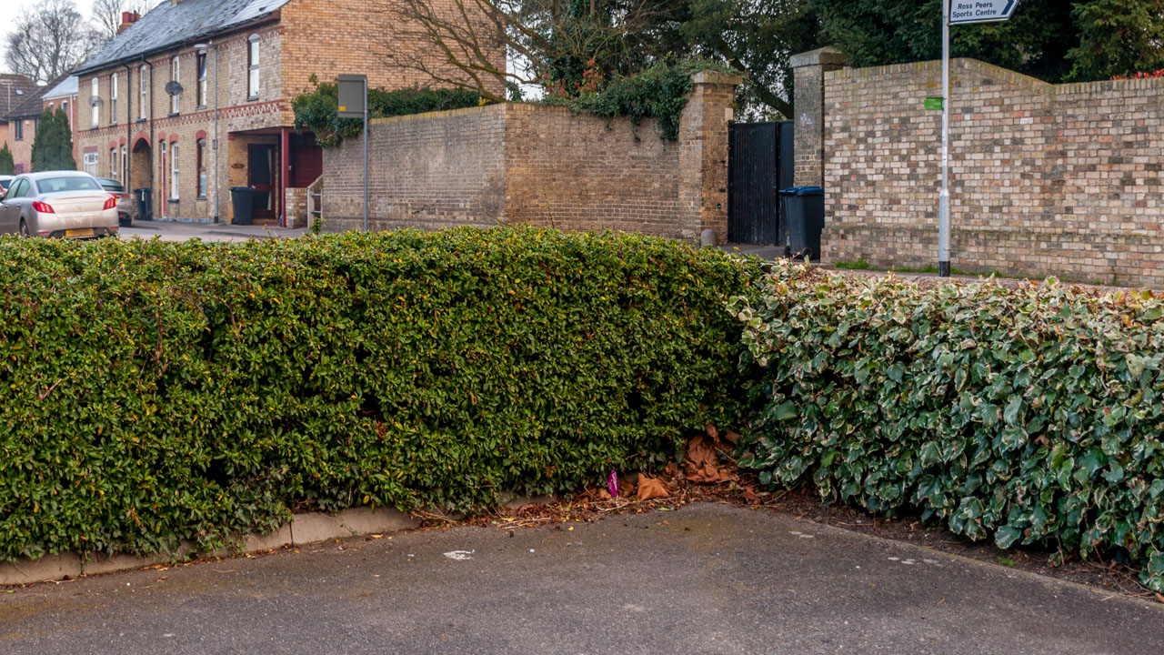 CE Primary School, Clay Street undefined photo